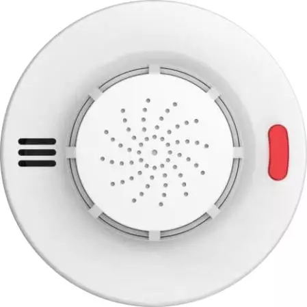 從巴黎圣母院火災看文博系統安全(圖2)