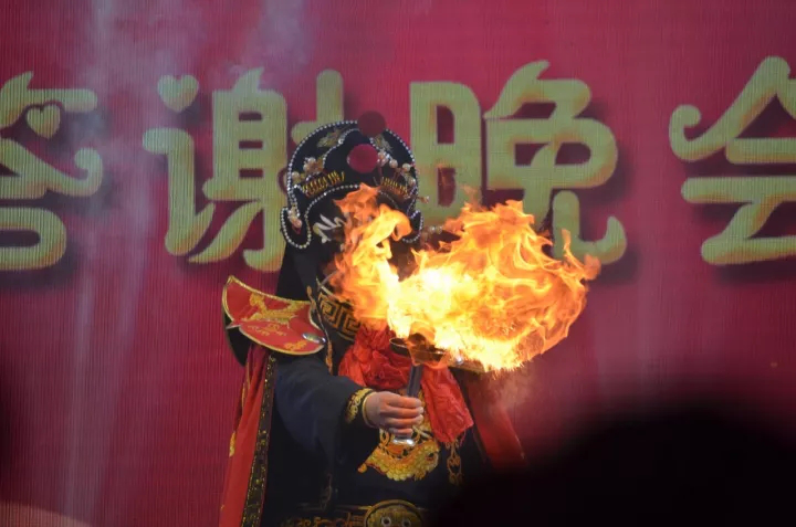 公司舉辦項目發布會暨2018訂貨會(圖7)